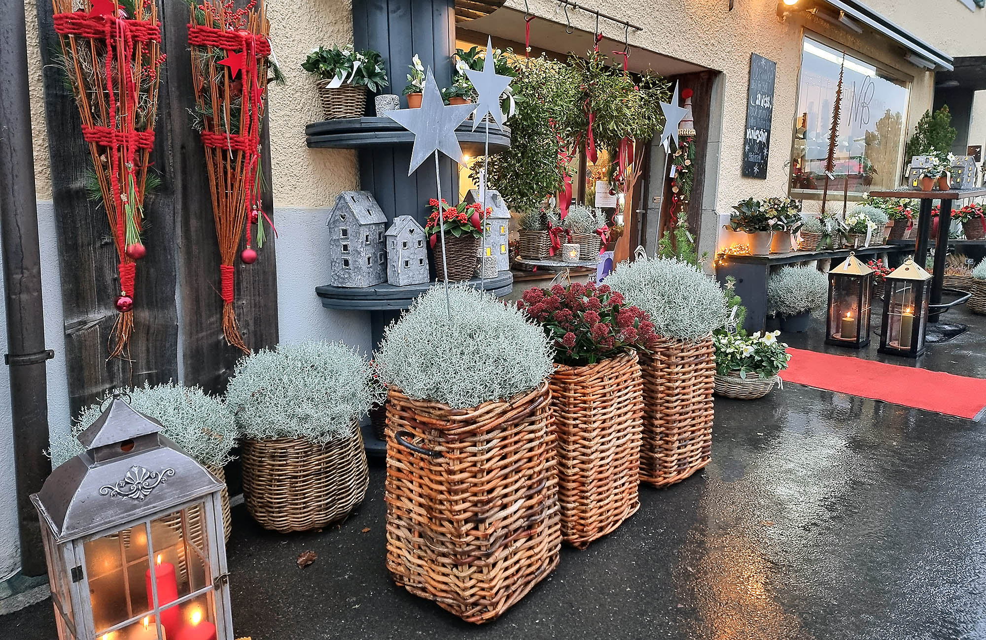 Winter bei Natürlich Bluemig