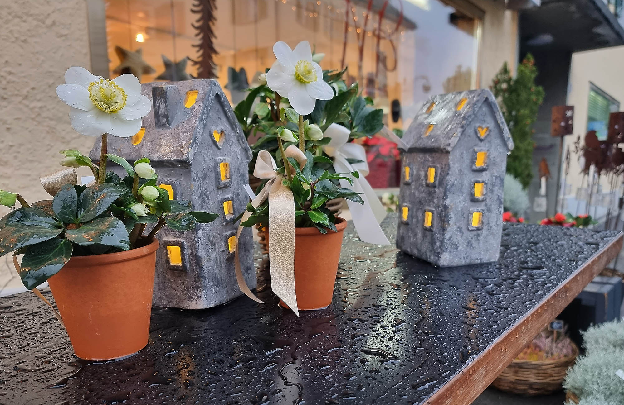 Winter bei Natürlich Bluemig