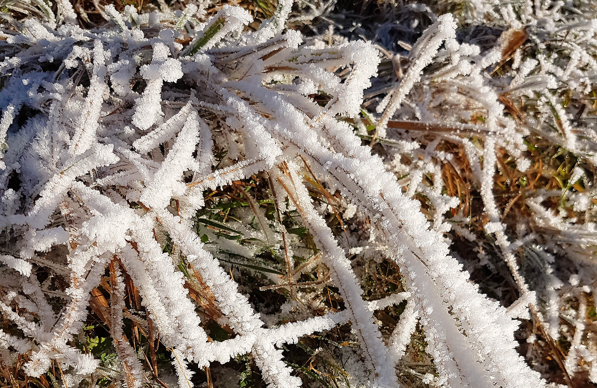 Winter bei Natürlich Bluemig