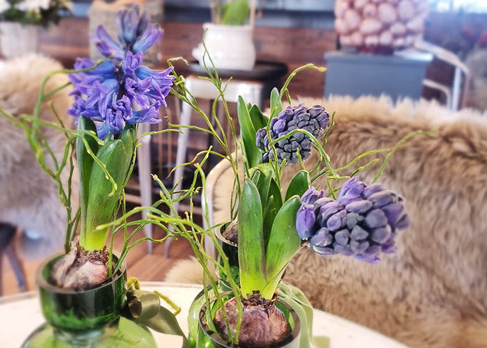 Natürlich Bluemig Deko